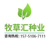 氨氮去除劑_COD去除劑_除磷劑污水處理廠家-鞏義市濾料工業(yè)